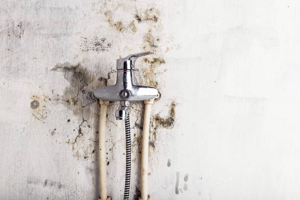 Best Residential Mold Remediation in West Odessa, TX