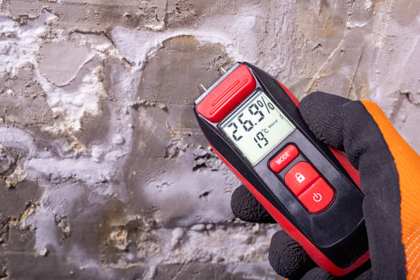 Best Mold Testing and Inspection Services in West Odessa, TX