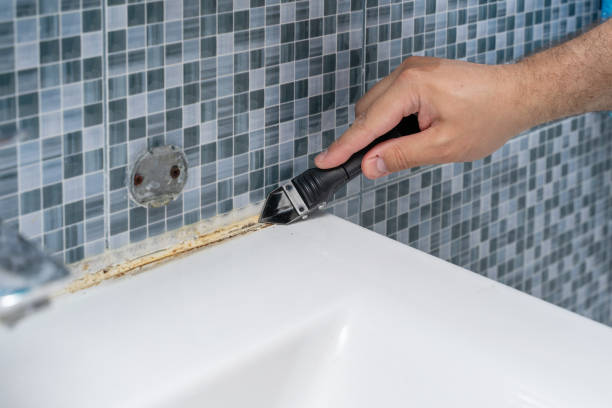  West Odessa, TX Mold Removal Pros