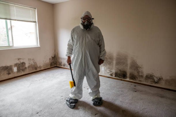 West Odessa, TX Mold Remediation Company